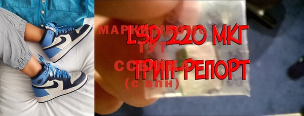 шишки Баксан
