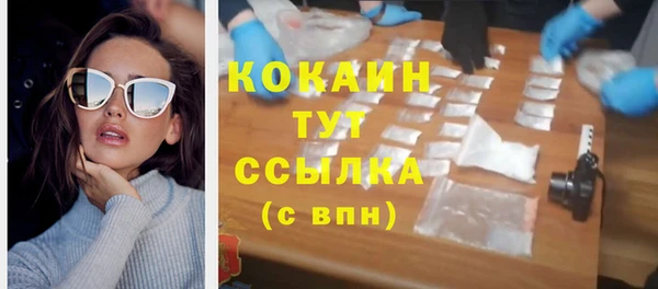 шишки Баксан
