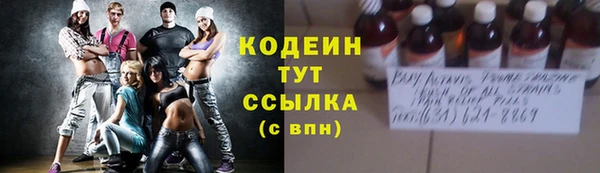 шишки Баксан