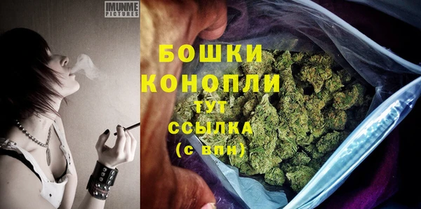 шишки Баксан