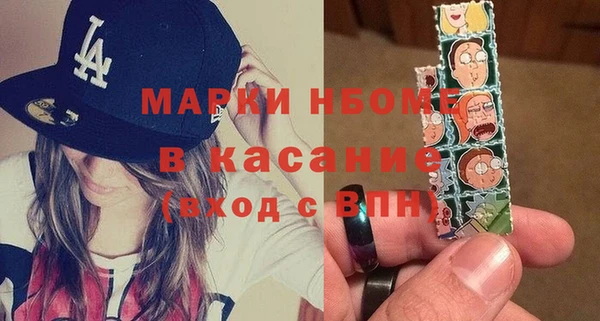 шишки Баксан