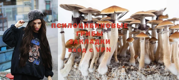 шишки Дмитриев