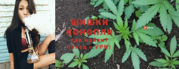 шишки Баксан