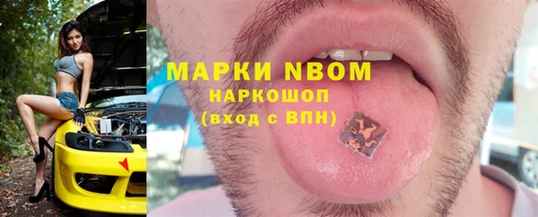 шишки Баксан