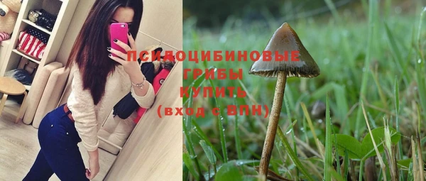 шишки Баксан