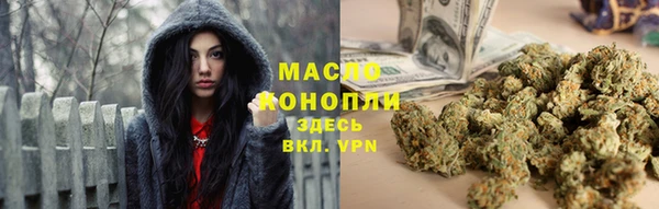 твердый Дмитров