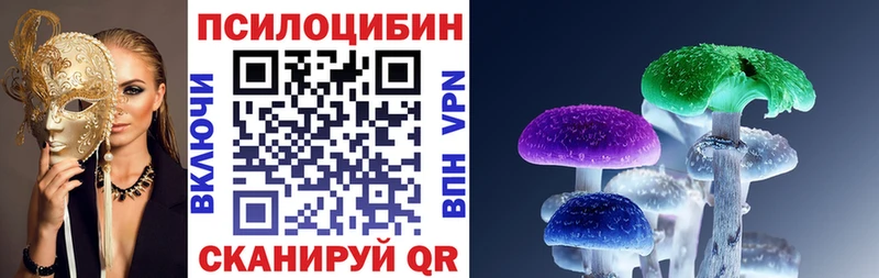 Псилоцибиновые грибы GOLDEN TEACHER  Верхний Тагил 